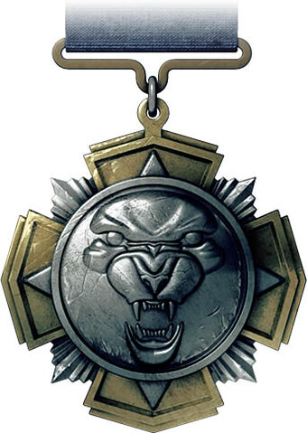 File:Squad Rush Medal.jpg