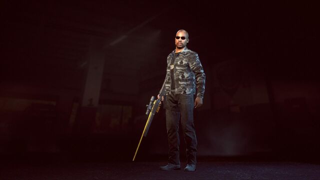 File:Undercover Professional Stealth.jpg