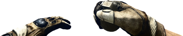 File:Battlefield 3 Grenade Render.png