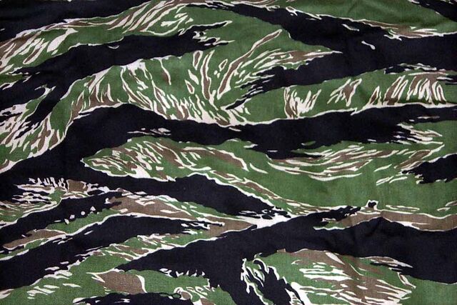 File:Tiger Stripe.jpg