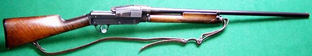 File:Sjogren Shotgun IRL.jpg