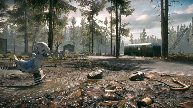 File:Backwoods 1.jpg