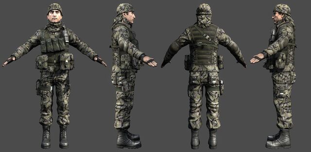 File:PLR Infantry 2.jpg