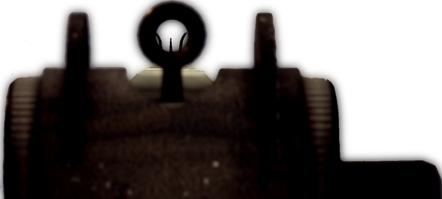 File:BC2 M14EBR-2.png