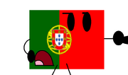 Fg