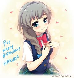 遥香HB2015