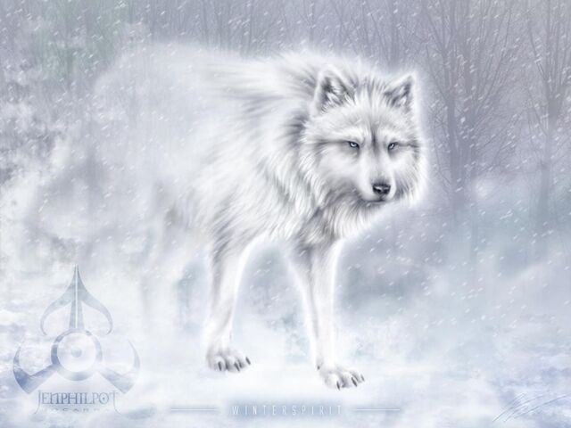 File:223px-Snow form.jpg