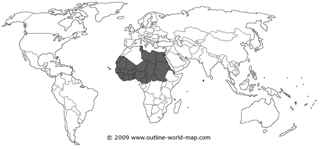 File:Political-world-map-white-thin-b6a.png