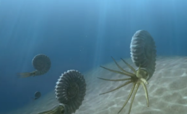 File:Ammonite Squad.png