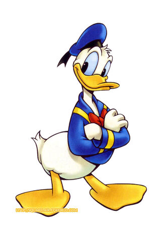 Fichier:Donald.Duck.full.9190.jpg