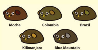 Coffee bean