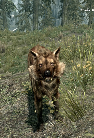 File:Faelor.png