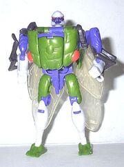 Cicadacon1