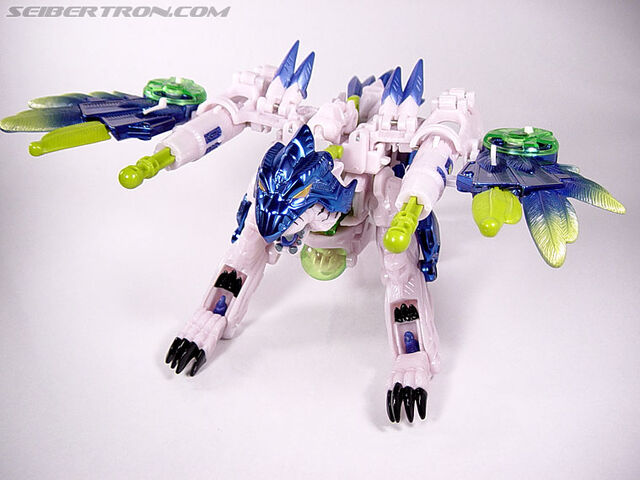 File:Tigerhawk015.jpg