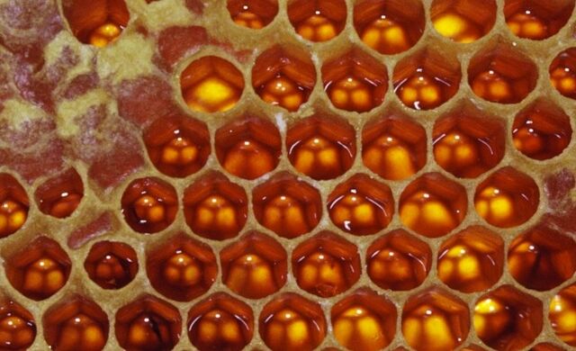 File:Honeycomb slider.jpg
