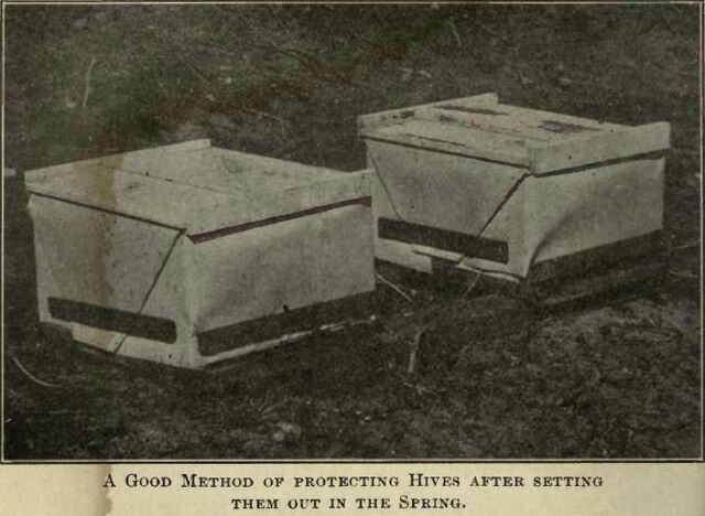 Fișier:Protecting hives.jpg