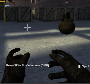 Grenade Glitch First Person