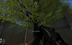 Trees