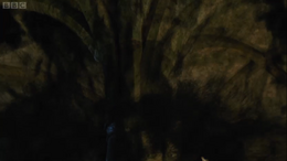 5x1 DevilTrueForm
