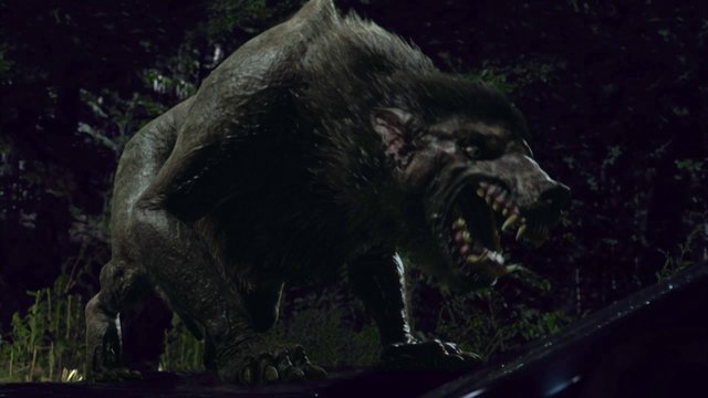 Werewolf (Syfy) | Being Human Wiki | FANDOM powered by Wikia Werewolf (Syfy) | Being Human Wiki | FANDOM powered by Wikia