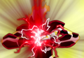 Thumbnail for version as of 00:47, December 20, 2014