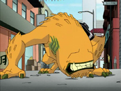 Wildmuttsick2