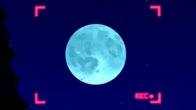 File:TBS (2).png