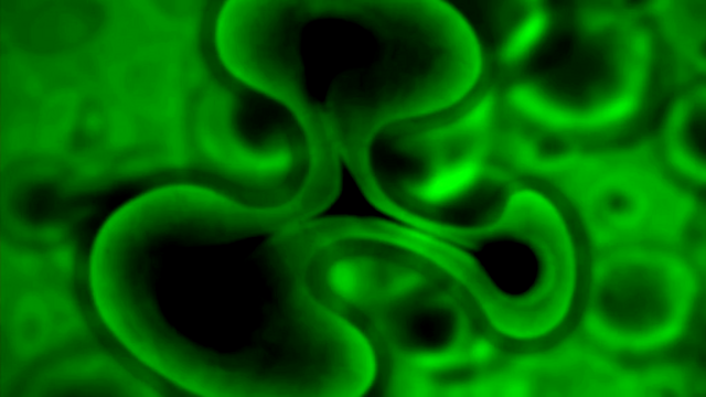 File:Duped (124).png