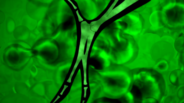 File:TFB1 (156).png