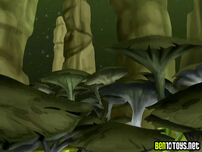 Giant fungals.jpg