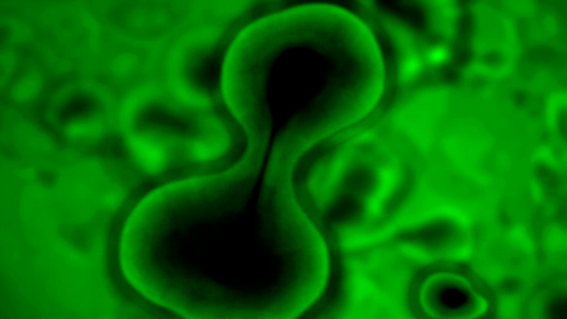 File:UC (204).png