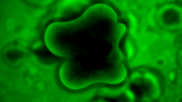 File:EotB (159).png