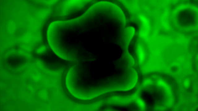 File:GT (240).png