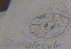 Molucules