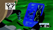 Aramchimp DNA.png