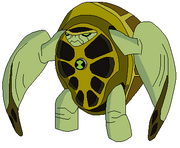 Measterraspin