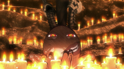 The Egg reveals itself