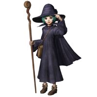 Image result for schierke staff