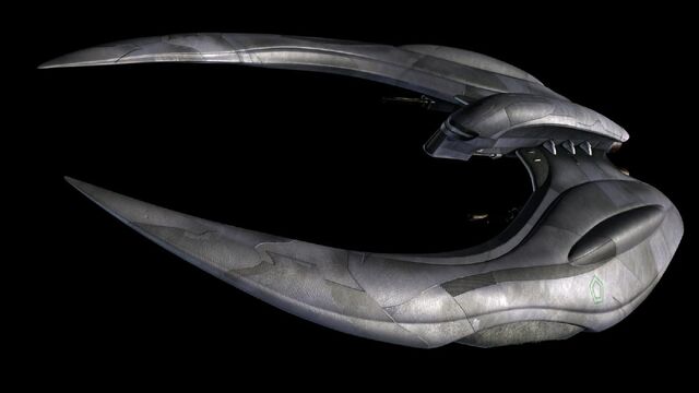 File:Raider1.jpg