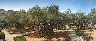 File:Asds.jpg