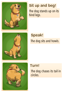 Tricks1