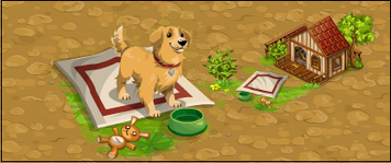Dog House