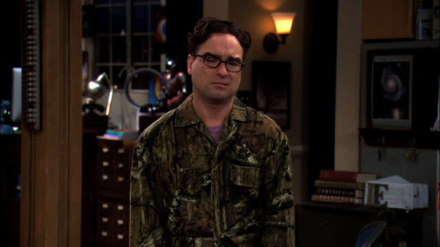 File:S5Ep01 - Leonard looking miserable.jpg