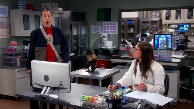 File:Sheldon frightened.jpg