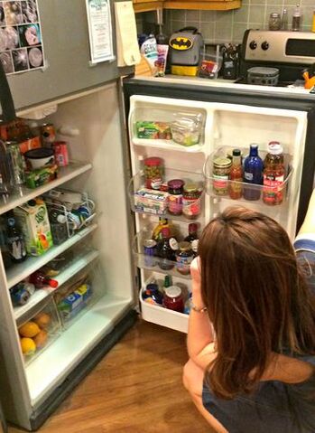 File:Refrig2.jpg