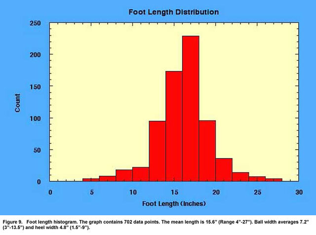 File:Foot graph BFRO.jpg