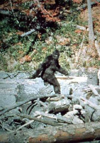 File:Bigfoot main image.jpg