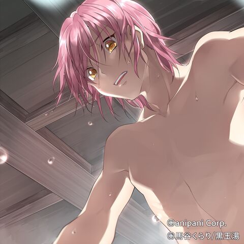File:Ryuu Zaou Game 03.jpg