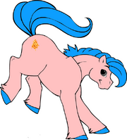 Ascari Siriguela.png