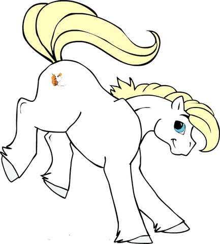 Fichier:Bacucco Butia.png